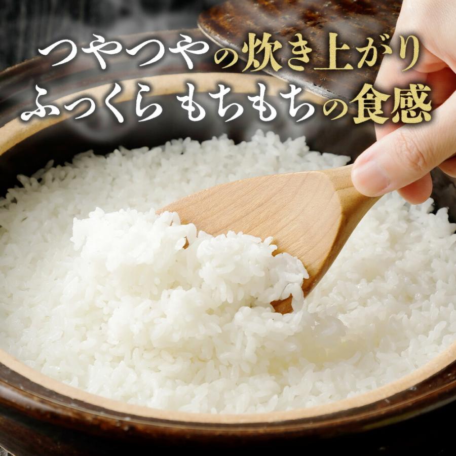 白米各種計20KG 【公式通販】