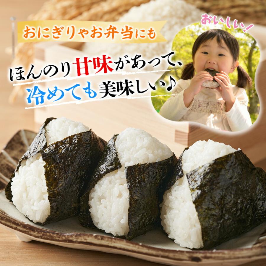 精米（上白）約20kg +3kg 白米各種計20KG 【公式通販】