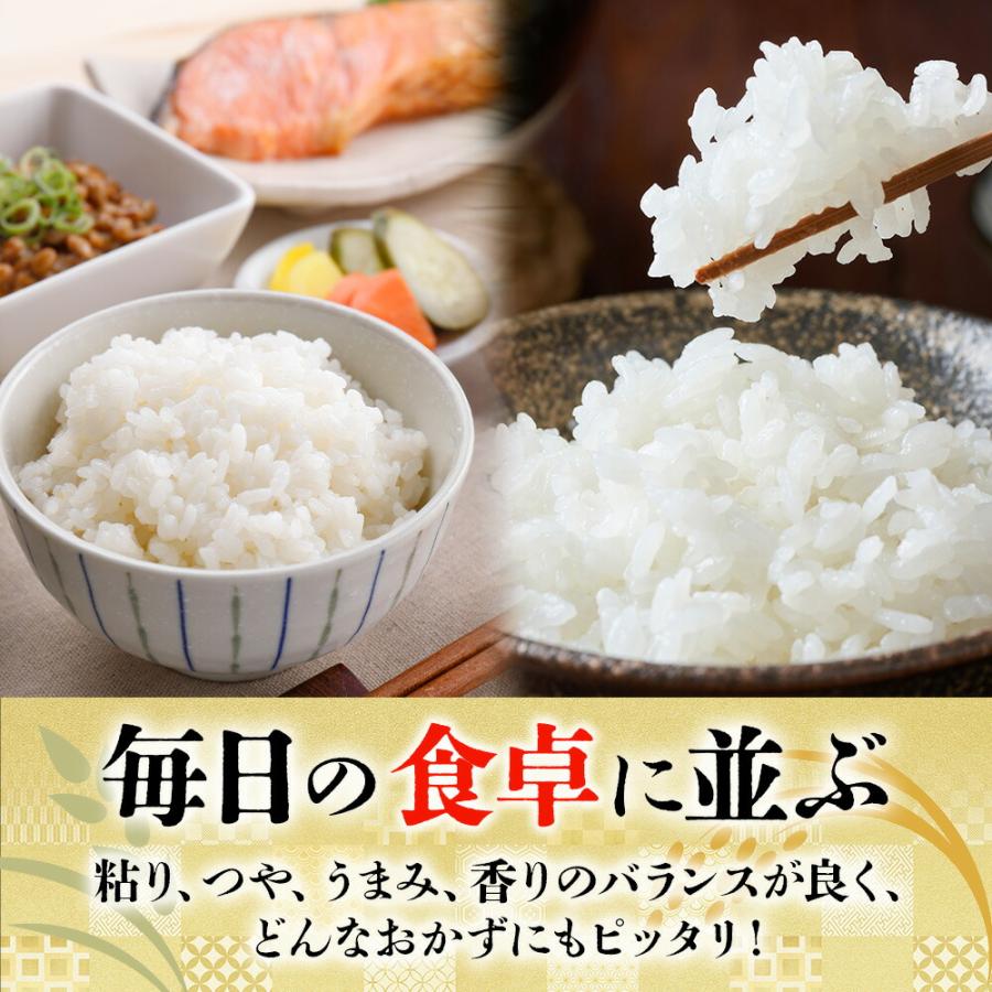 白米各種計20KG 【公式通販】