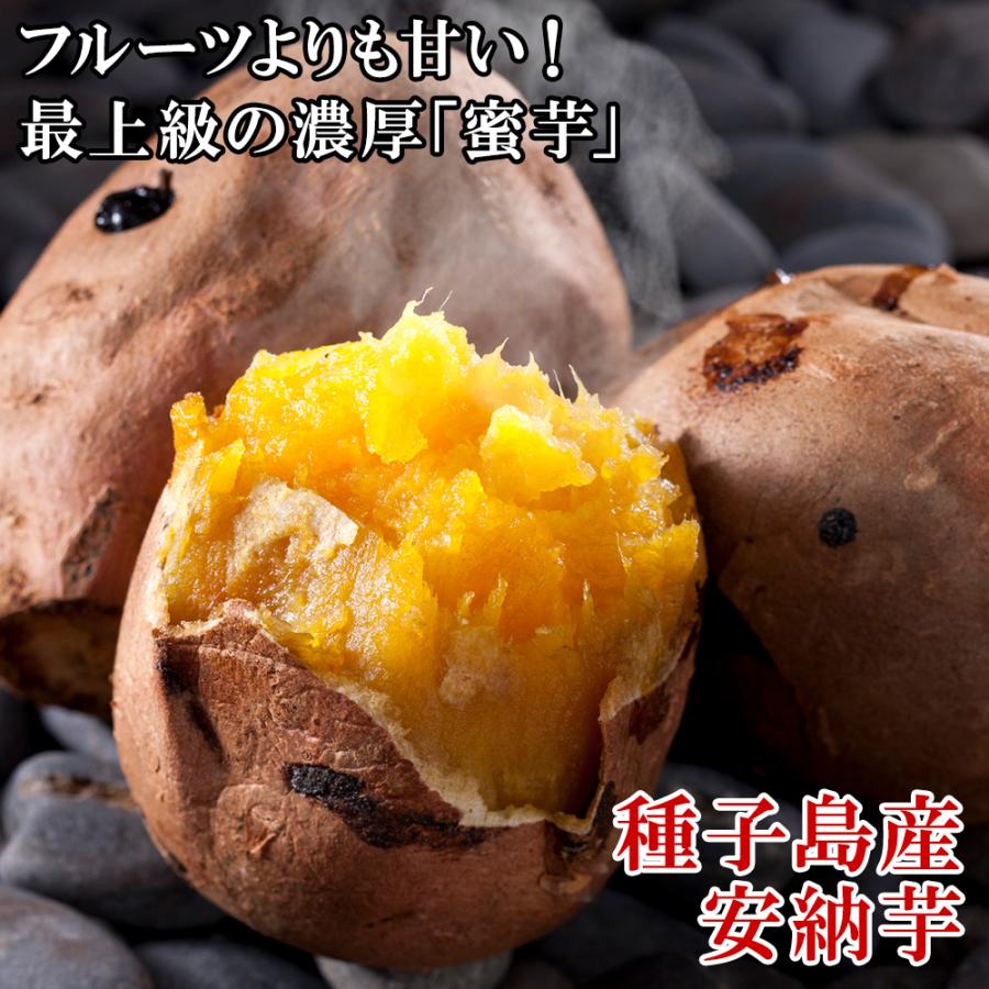安納芋 1.8kg前後 種子島産 さつまいも サツマイモ 焼き芋 蜜芋 お 取り寄せ グルメ 産地直送 送料無料｜washoku2｜02