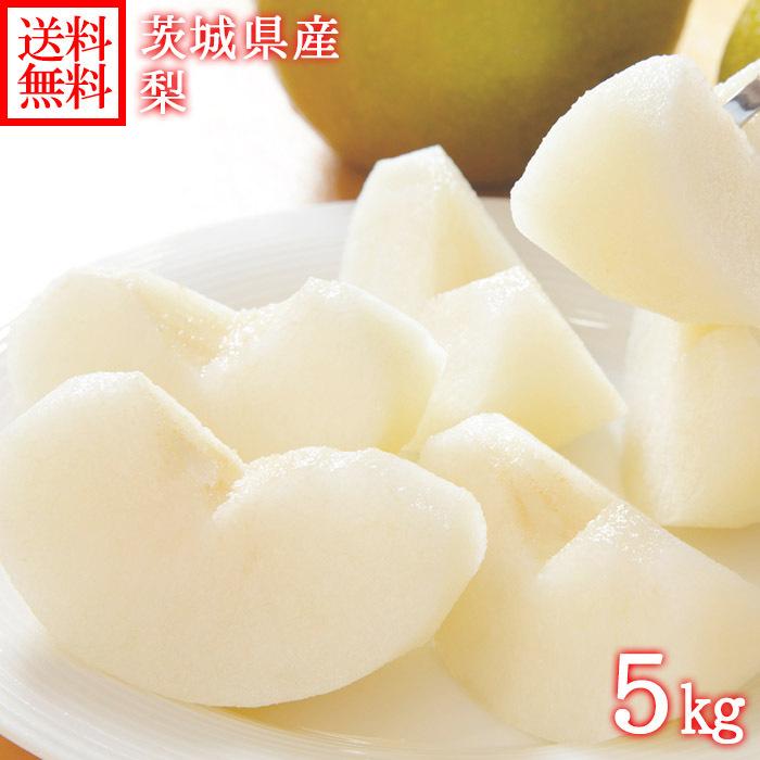 赤梨 茨城県産 秀品 計5kg前後 8 13個 梨 フルーツ 果物 ギフト 産直 ナシ 産地直送 なし プレゼント 旬の果物 9月 10月 77 Off