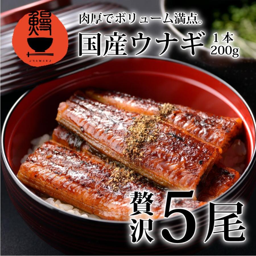 うなぎ 鰻 蒲焼 特大 国産 5尾セット 贈り物 ギフト