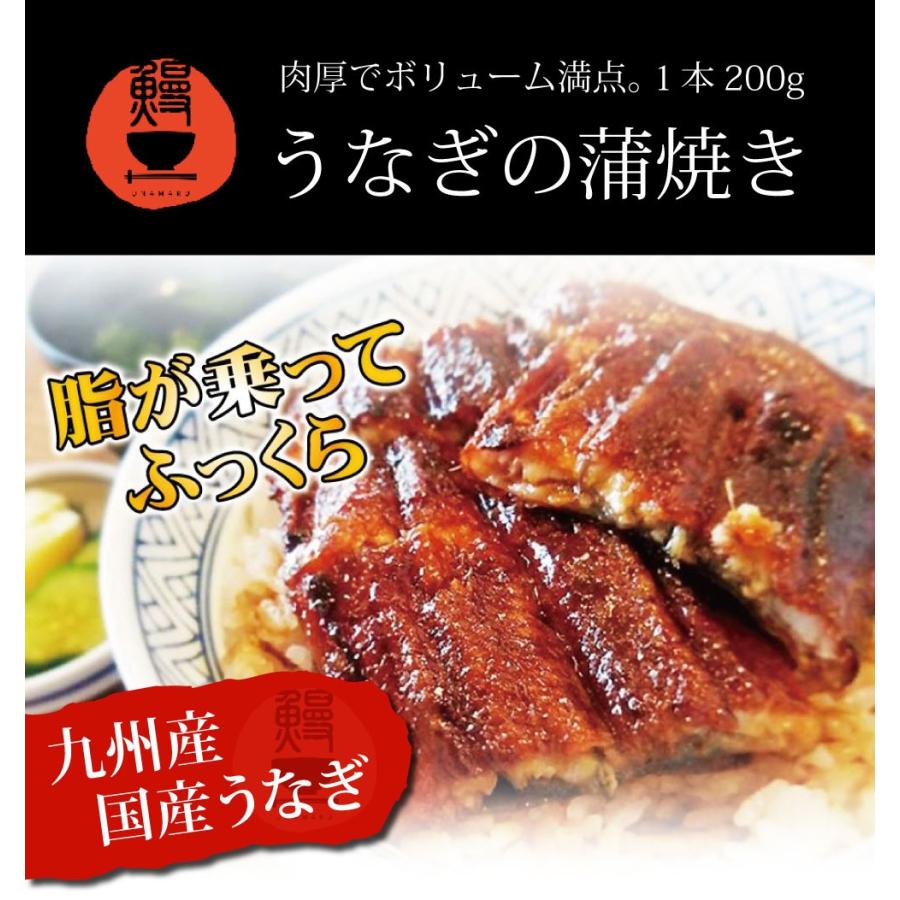 うなぎ 鰻 蒲焼 特大 国産 5尾セット 贈り物 ギフト_1