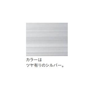 アドビューN900（L）R70  電球色　3000K相当　R70タイプ　外照式サイン　看板照明　タテヤマアドバンス｜wasou｜05