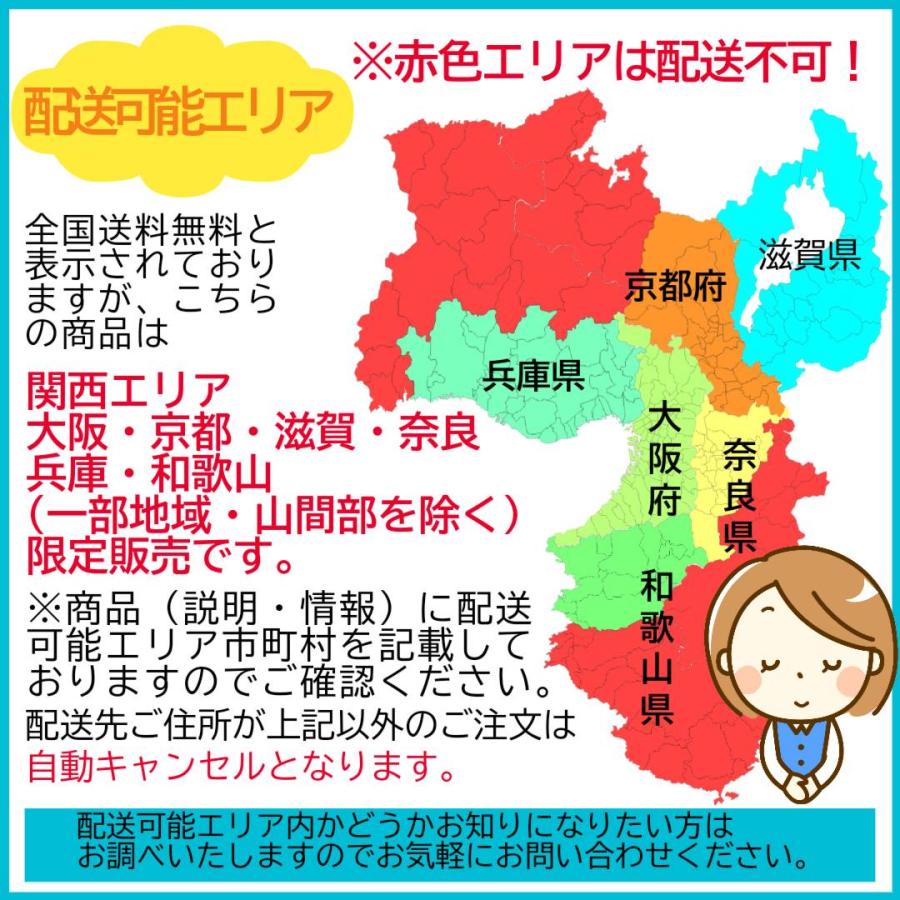 シンプリー 【関西エリア限定】イナバ物置 シンプリー 収納庫 MJX-137C 