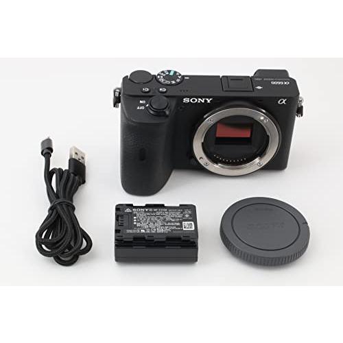 正規販売店】【正規販売店】ソニー SONY ミラーレス一眼 α6600 ボディ