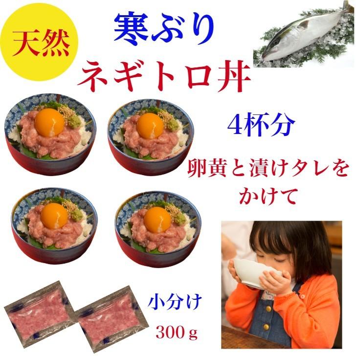 ぶりしゃぶ ブリ ぶり 鰤 天然 しゃぶ ねぎとろ 刺身 鍋 セット 父の日 送料無料 お取寄せ 刺し身 200g ネギトロ 300g  海鮮 ギフト お祝 賞味期限冷凍10日｜wasyokuyafukumimiy｜15