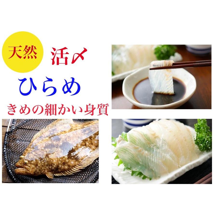 金目鯛 ひらめ しゃぶしゃぶ 刺身 セット 金目鯛しゃぶしゃぶ 鯛しゃぶ 海鮮ギフト お取り寄せ 御祝 ギフト 賞味期限 冷凍１０日 Kinmehiramesyabu 天然地魚 王道和食板前職人 通販 Yahoo ショッピング