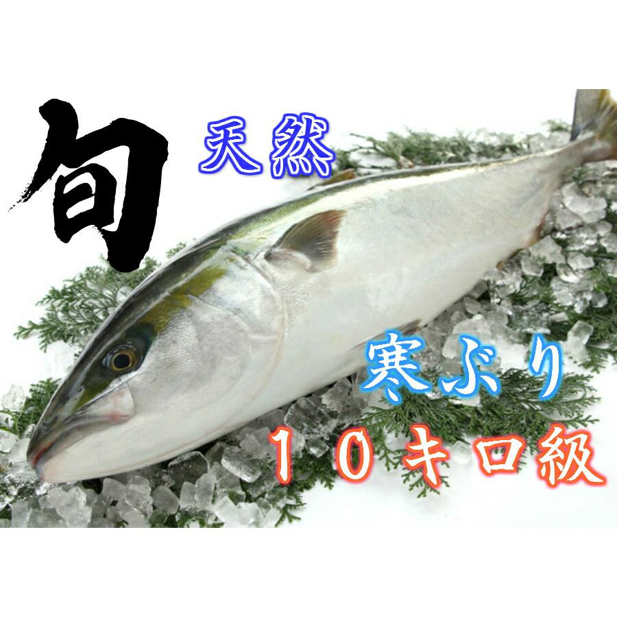 天然 ぶりしゃぶ 8人前 ぶり刺身 トロ800ｇ ぶり ブリ刺身 お取り寄せ 野菜を用意するだけ 出汁 ポン酢 ラーメン レシピ付 賞味期限冷凍で10日 Zxku6irct9 天然地魚 王道和食板前職人 通販 Yahoo ショッピング
