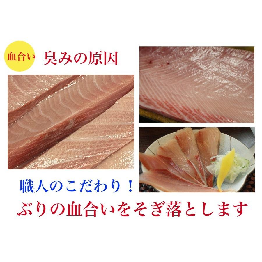 天然 ぶりしゃぶ 8人前 ぶり刺身 トロ800ｇ ぶり ブリ刺身 お取り寄せ 野菜を用意するだけ 出汁 ポン酢 ラーメン レシピ付 賞味期限冷凍で10日 Zxku6irct9 天然地魚 王道和食板前職人 通販 Yahoo ショッピング