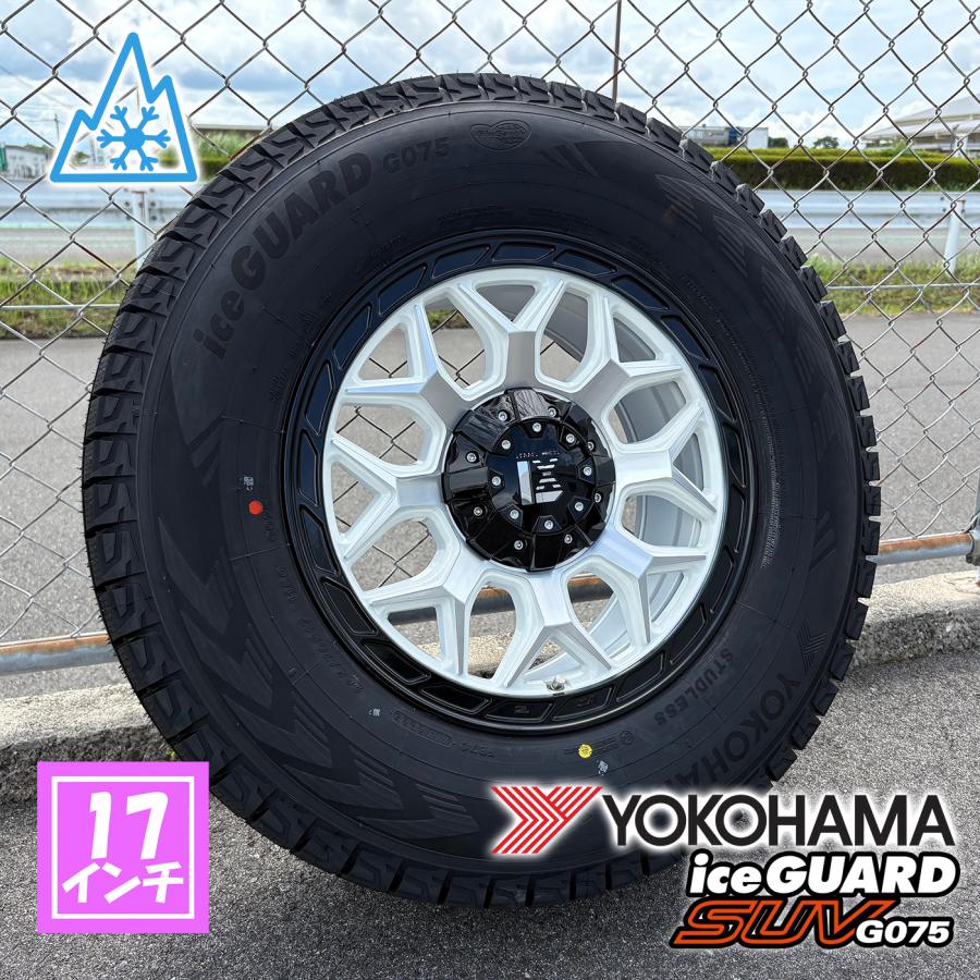 iceGUARD スタッドレス タイヤホイールセット 4本セット 1台分 