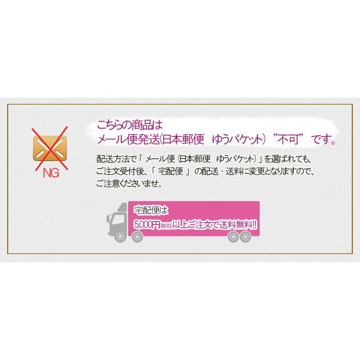 30％オフセール 木 おもちゃ 日本製 積み木 パズル 乗り物 パズルトラック コイデ東京 プレゼント 出産祝い 誕生日 ベビー 男 女 ０歳 1歳 2歳 クリスマス クリスマスプレゼント