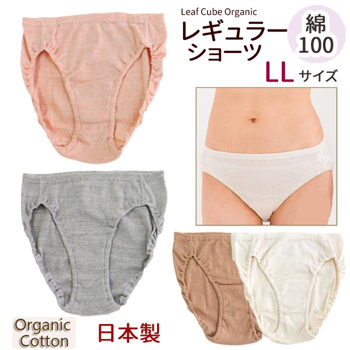 ショーツ LLサイズ レディース 綿100% オーガニックコットン