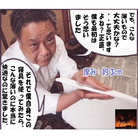 日本製】【送料無料】エアーミール敷マット（シングルサイズ） 軽くて