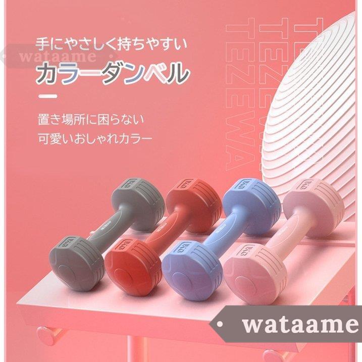 57 Off ダンベル 筋トレ 2個 セット 女性 エクササイズ 1 5kg 1 5キロ カラー おしゃれ 鉄アレイ 重さ トレーニング 女性用 ダイエット Cisama Sc Gov Br