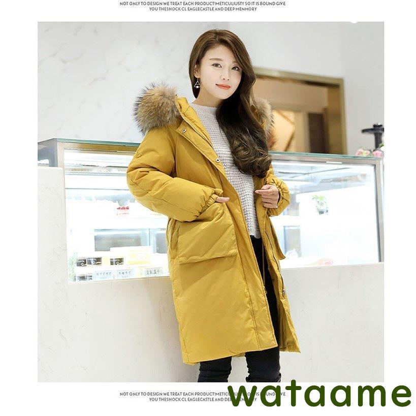 限定品 ダウンコート レディース ダウンコート ロング アウター レディース 大きいサイズ ダウンジャケット Aライン ラクーンファー 上品 レディース 大きいサイズ ダウンジャケット 軽い コート アウター Www Varney Com Br