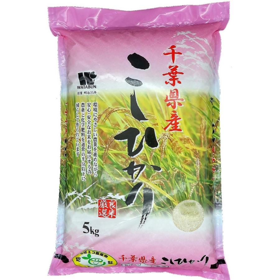 千葉県産 令和5年コシヒカリ精米5kg減農薬栽培 - 米