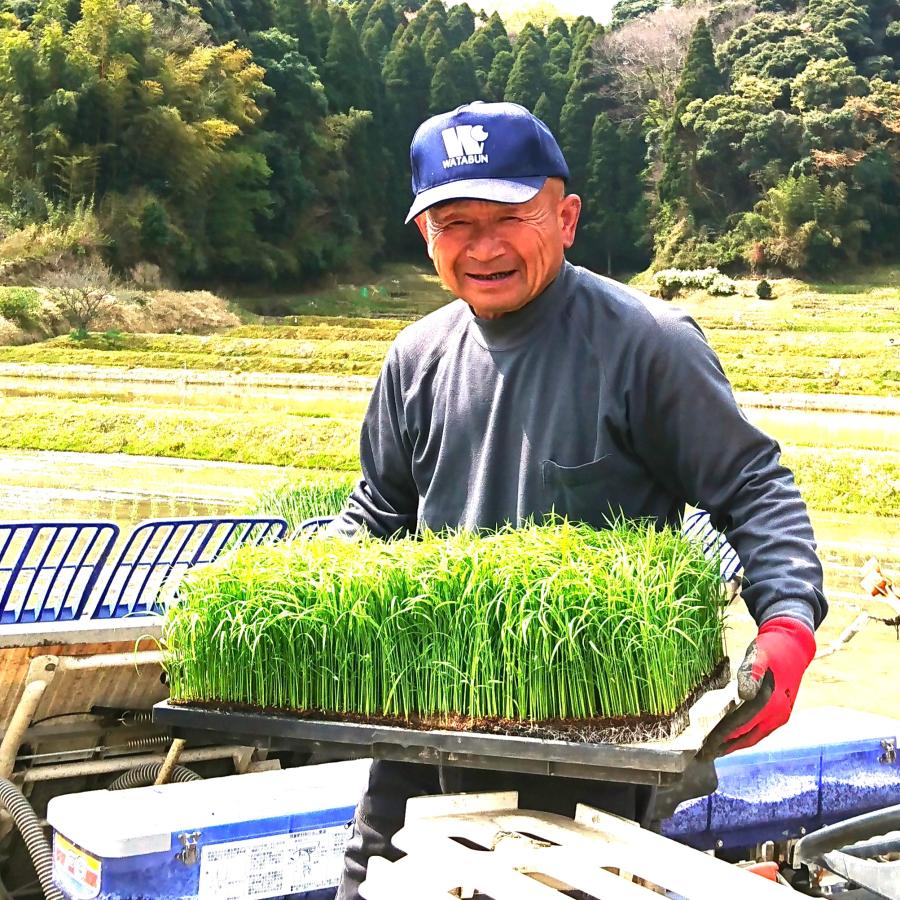 令和5年産 千葉県産 萱野 かやの米 棚田米 コシヒカリ 5kg  白米 精米 米 お米 送料無料(一部地域を除く) 新米｜watabun｜12