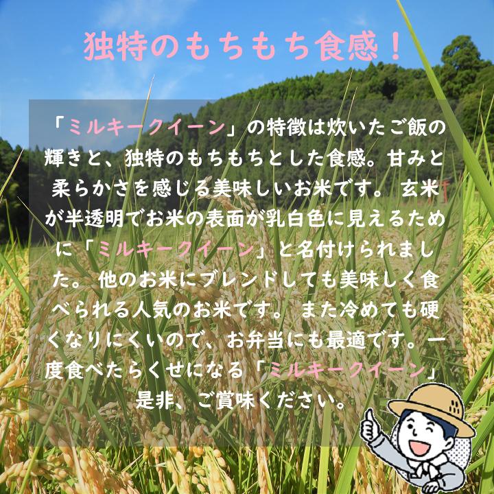 ミルキークイーン 令和7年産 千葉県産 10kg 白米 精米 米 お米 送料