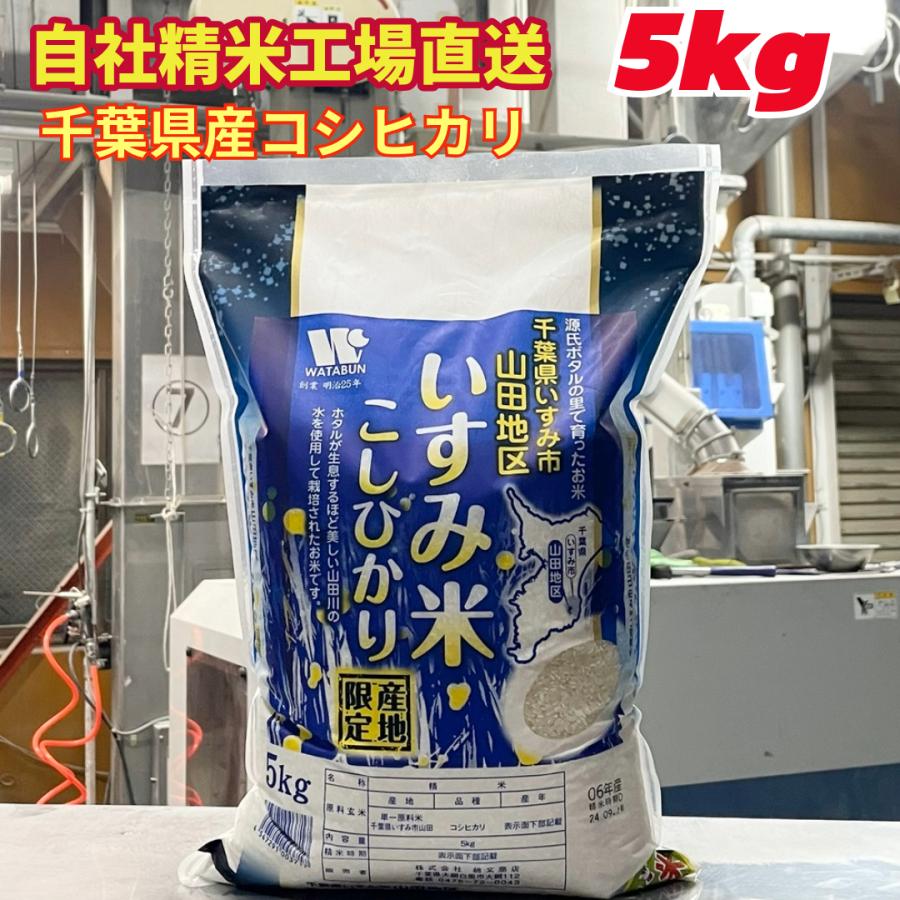 コシヒカリ 令和7年産 いすみ市 山田地区産 5kg 源氏ボタルの里 ホタル