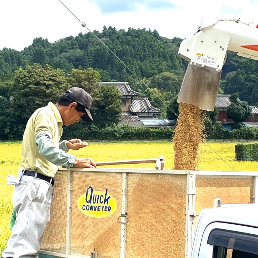 コシヒカリ 令和7年産 いすみ市 山田地区産 5kg 源氏ボタルの里 ホタル
