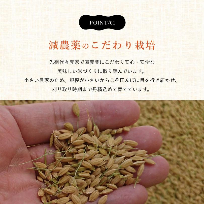 淡路島産 新米コシヒカリ 30kg(玄米) 減農薬こだわり栽培 送料 淡路島産 新米コシヒカリ 30kg(玄米) 減農薬こだわり栽培 送料