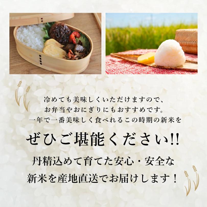 淡路島産 新米コシヒカリ 30kg(玄米) 減農薬こだわり栽培 送料 淡路島産 新米コシヒカリ 30kg(玄米) 減農薬こだわり栽培 送料