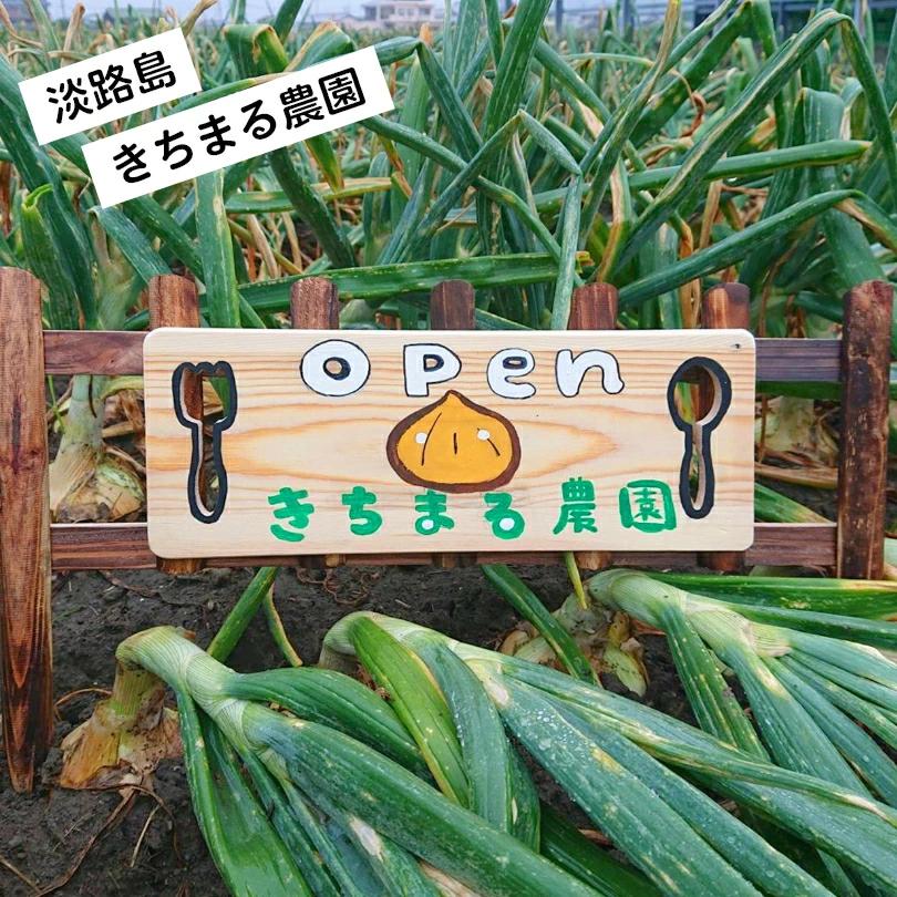 兵庫県推奨ブランド　最高級品！淡路島特産　新たまねぎ（早生）20ｋｇ『一年間でこの時期だけ収穫出来る淡路島が生んだ宝物』七宝　｜watanabe-syouji｜05