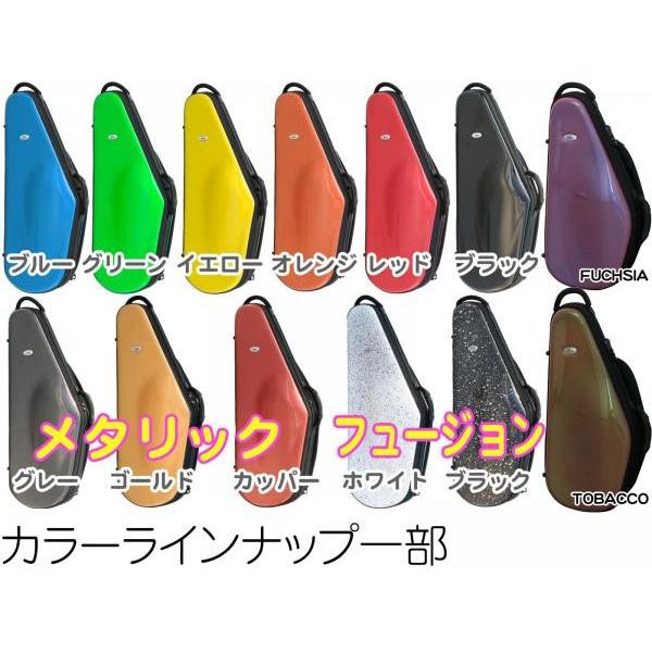 bags(バッグス) EFAS M-BLK アルトサックスケース メタリック ブラック 黒色 ハードケース リュック EVOLUTION alto saxophone case 北海道 沖縄 離島不可|watanabegakki|03