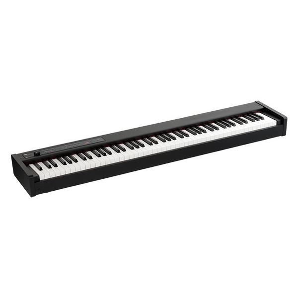 KORG(コルグ) 電子ピアノ デジタルピアノ ステージピアノ D1 ブラック