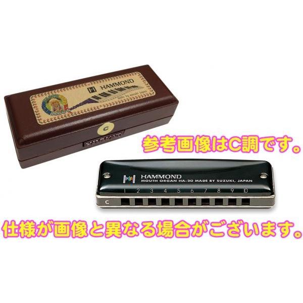 SUZUKI(スズキ) High-G調 HAMMOND HA-20 ブルースハーモニカ 10 SUZUKI(スズキ) High-G調 HAMMOND HA-20 ブルースハーモニカ 10