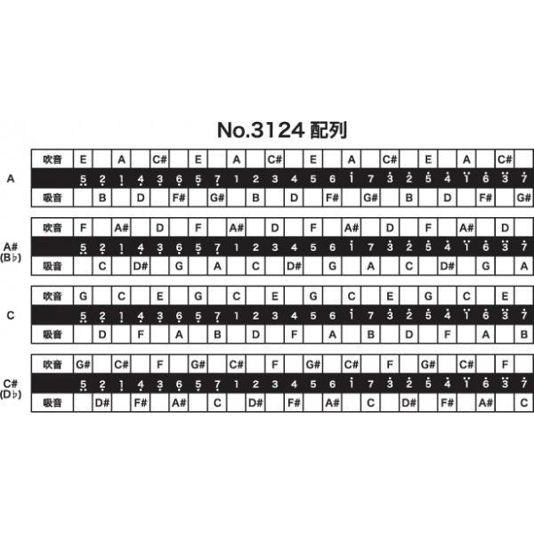 TOMBO(トンボ) 3124 A♯ 複音ハーモニカ 24穴 トンボバンド24 No.3124 TOMBO BAND Tremoro Tune Harmonica 樹脂ボディ トレモロ 楽器　北海道 沖縄 離島不可｜watanabegakki｜02