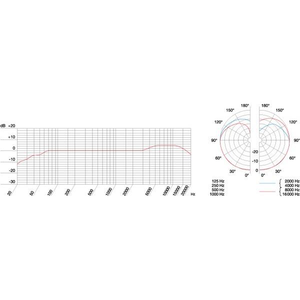 AKG AKG(エーケージー) C430 ◇ コンデンサーマイク【10月10日
