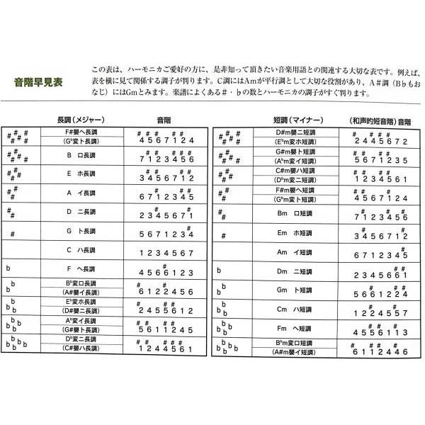 1521 Anm ナチュラルマイナー 特製 トンボバンド 複音ハーモニカ 21穴 No.1521 トレモロ 木製ボディ Tremoro Harmonica　北海道 【FABULOUS】 沖縄 離島不可