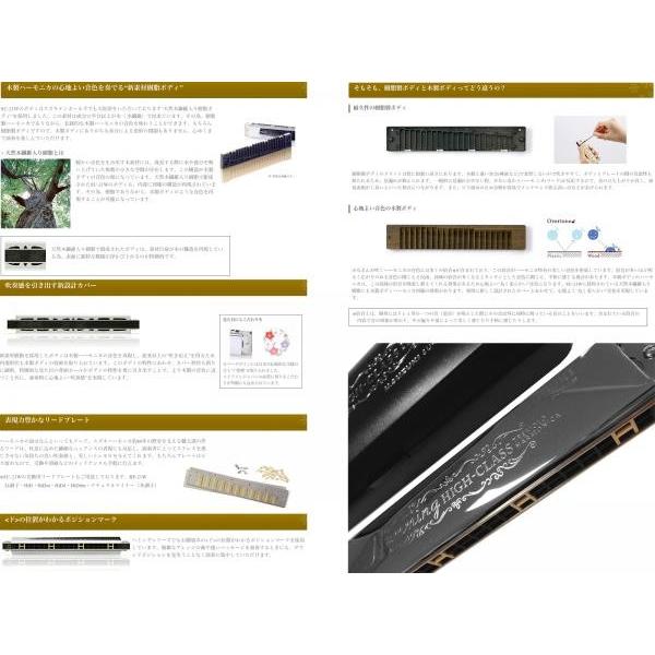 SUZUKI(スズキ) SU-21W A♯Nm A♯ ナチュラルマイナー 複音ハーモニカ 21穴 高級ハミング 日本製 ダブルリード トレモロ ハーモニカ 楽器 Harmonica｜watanabegakki｜02