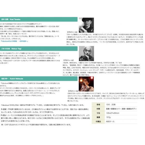 全商品オープニング価格特別価格 Suzuki G調 F e ファビュラス 平均律モデル 10穴 ハーモニカ Fabulous ブラス ブルースハープ型 テンホールズ 10holes Blues Harmonica メジャー 代引き手数料無料 Blog Lonolife Com