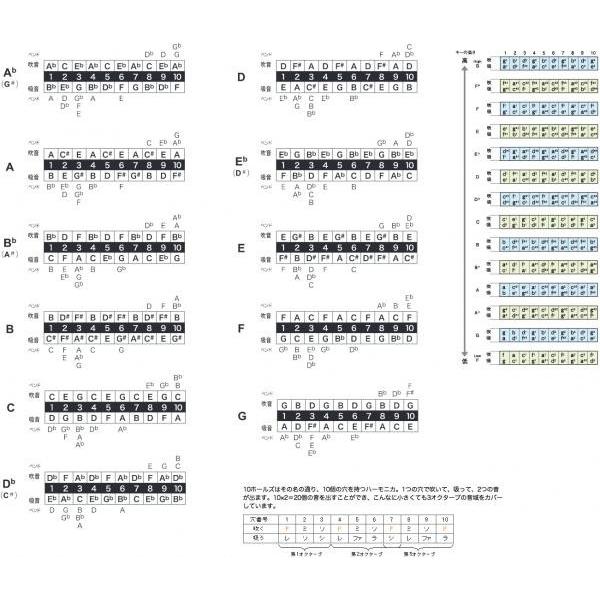 SUZUKI(スズキ) B♭ F-20J ファビュラス 純正律 10穴 ハーモニカ