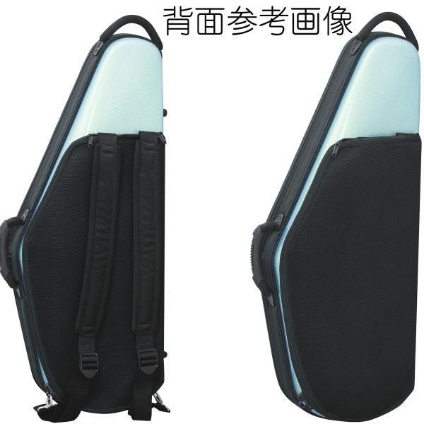 bags(バッグス) EFTS F-BLK テナーサックスケース フュージョン
