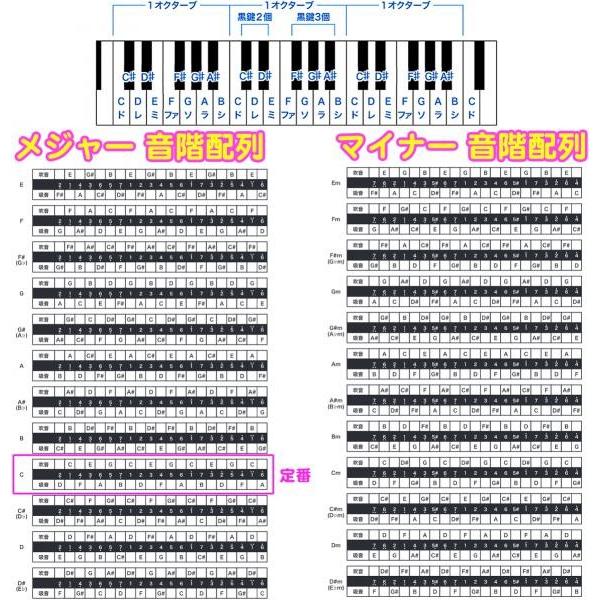 SUZUKI(スズキ) SU-21 Humming F♯ ハミング 複音ハーモニカ 21穴 日本製 リード 楽器 ハーモニカ Tremolo Harmonica Fシャープ メジャー｜watanabegakki｜03