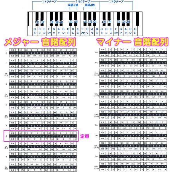 TOMBO(トンボ) A♯m マイナー 1921S イワサキソロ 超特級 21穴 複音ハーモニカ No.1921S 岩崎重昭 日本製 トレモロ 楓 木製ボディ　北海道 沖縄 離島不可_1