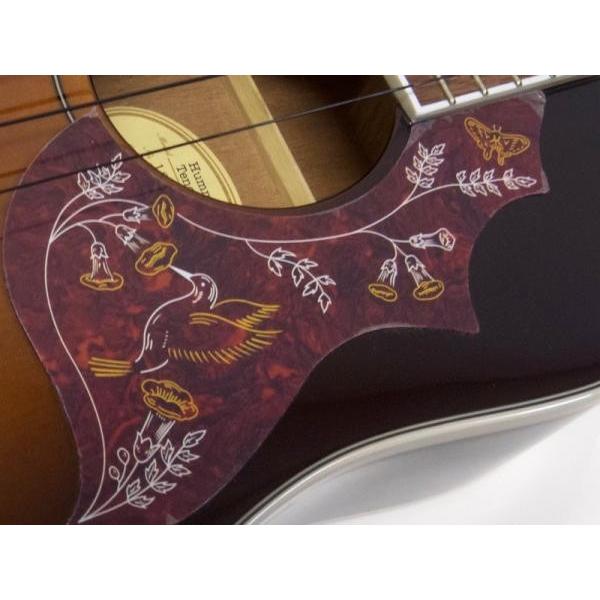 Epiphone（エピフォン） Hummingbird Ac/El Ukulele Tenor TS ハミング