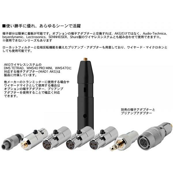 AKG AKG(エーケージー) LC81 MD beige ◇ カーディオイド ラべリア