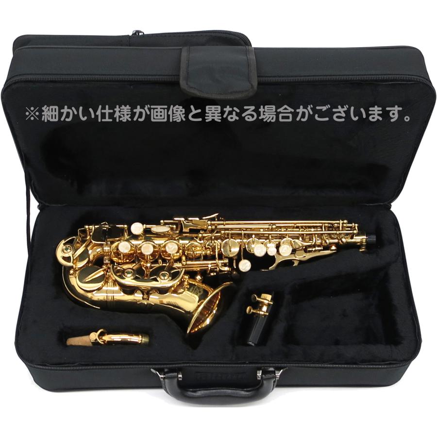 J.Michael ソプラノサックス。リード 3番 19枚、ケース付き。 J
