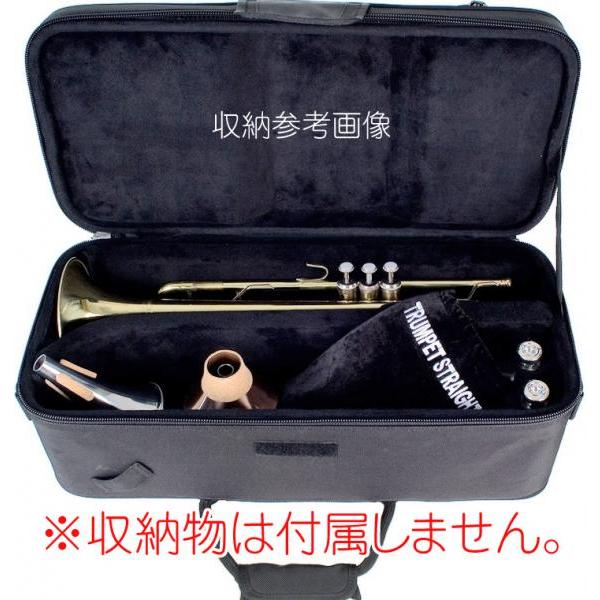 PROTEC PB-301 トランペット ケース ブラック 管楽器 セミハード