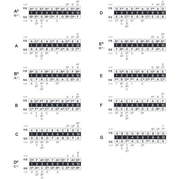 F調 1847 Silver ステンレスリード ブルースハーモニカ ホワイト樹脂ボディ 10穴 楽器 16301F ハーモニカ 1847シルバー 　北海道 沖縄 【Next stage】 離島不可