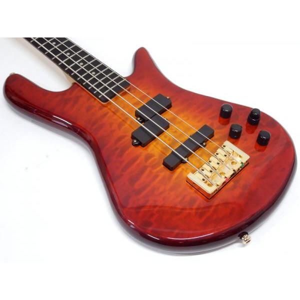 SPECTOR RAS4 RAISE A SUILEN LAYER Twilight Amber スペクター ベース