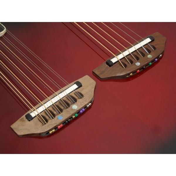 Ovation（オベーション） Ovation Celebrity Elite Double Neck CSE225