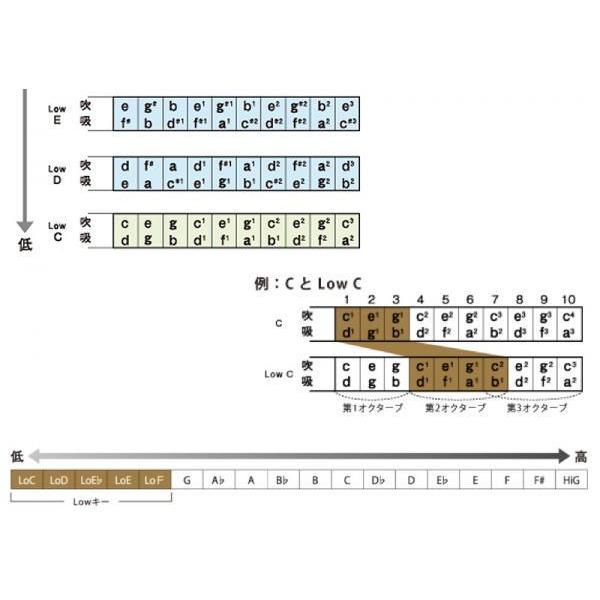 TOMBOメジャーボーイブルースハープ 4本セット ケース付き ACDF TOMBO No.1710CV メジャーボーイ入門セット｜ミュージックランドKEY