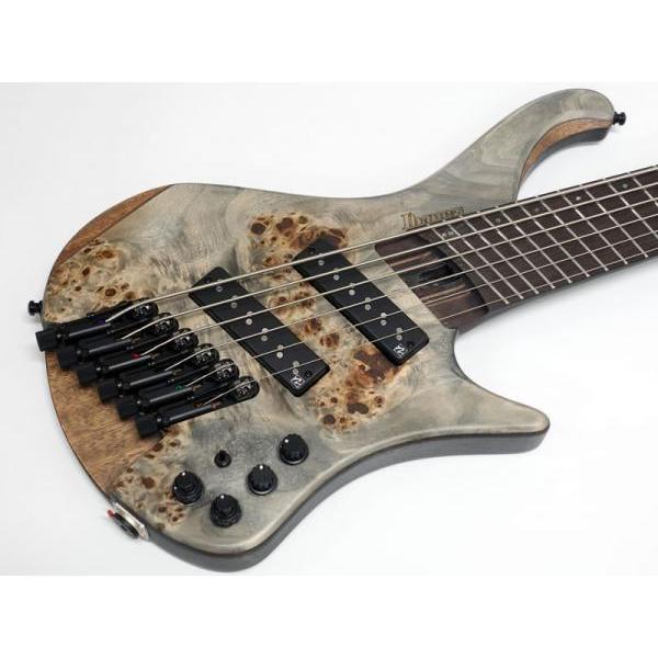 Ibanez EHB1506MS-BIF 6弦ベース Ibanez Ibanez(アイバニーズ