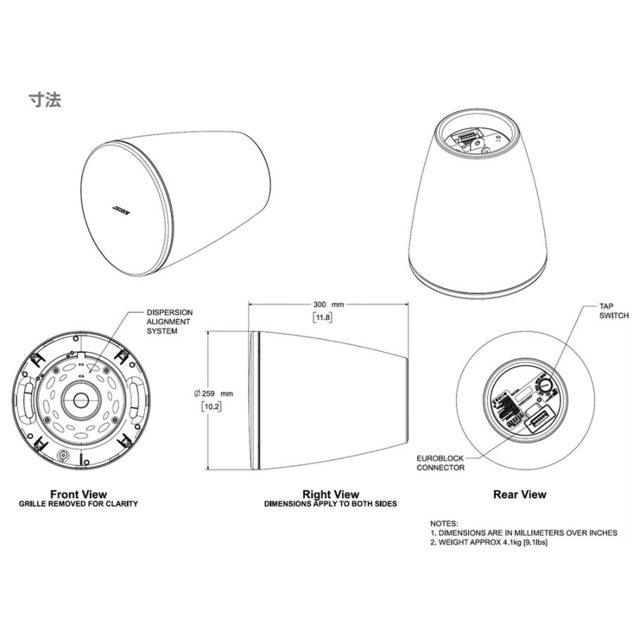 BOSE（ボーズ） DM5P PAIR BLK ( ペア / 2本入 ) 吊り下げ ペンダント